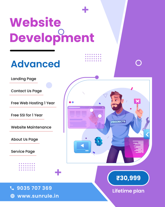 website development cost